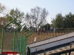 Име : 2006-10-28-Slavia-Lokomotiv_Sofia030.jpg
Големина : 415KB
Размери : 1024x768
Дата на добавяне : май 28 2007 2006-10-28-Slavia-Lokomotiv_Sofia030.jpg
