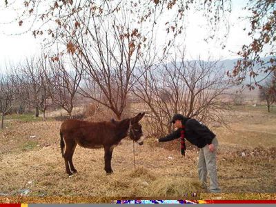 Натиснете за да видите снимката уголемена