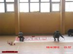 Име : 2012-04-12-Botev-Vratsa_Loko-Sf-003.jpg
Големина : 89KB
Размери : 1024x768
Дата на добавяне : май 06 2012 2012-04-12-Botev-Vratsa_Loko-Sf-003.jpg