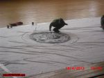Име : 2012-04-12-Botev-Vratsa_Loko-Sf-008.jpg
Големина : 101KB
Размери : 1024x768
Дата на добавяне : май 06 2012 2012-04-12-Botev-Vratsa_Loko-Sf-008.jpg