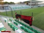 2017-07-23-Ludogorets_2-Lokomoyiv_Sofia-003.jpg